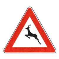 图 31 · Segnali di pericolo
